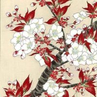 Kawarazaki Shodo Sakura Cherry Blossoms C. 1950
