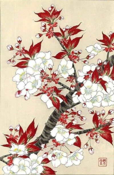 art oil painting reproduction of  Kawarazaki Shodo Sakura Cherry Blossoms C. 1950 museum quality handmade