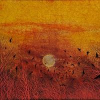 Kayama Matazo Sun Ring
