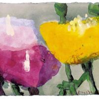 Klaus Fu Mann Gelber Roter Und Rosa Mohn 2002