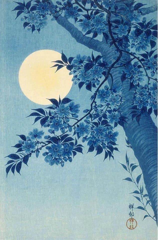 Koson Ohara Blossoming Cherry On A Moonlit Night - 1932 museum quality