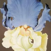 Lowell Nesbitt Yellow And Blue Iris 1973