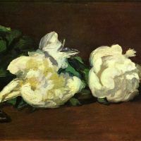 Manet Still Life White Peony