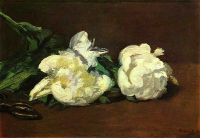 art oil painting reproduction of  Manet Still Life White Peony museum quality handmade