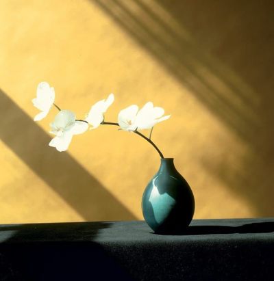 art oil painting reproduction of  Mapplethorpe Orchid E 1946-1989 museum quality handmade