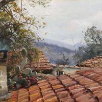 Monsted Peder A Cactus Growing On The Old Rooftops In Italy