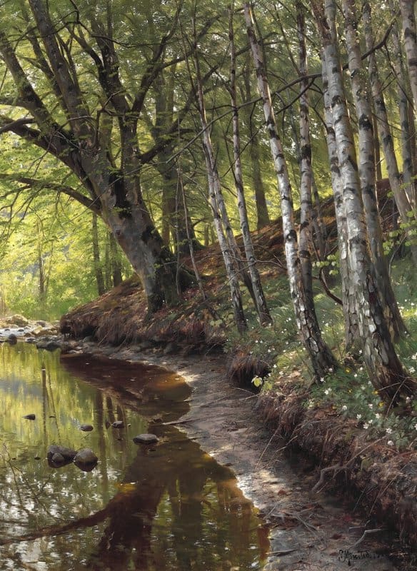 Monsted Peder A Spring Day At A Stream In The Woods 1910 museum quality