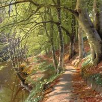 Monsted Peder A Spring Day In The Forest With A Path Winding Its Way Along A Stream 1895