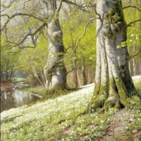 Monsted Peder Anemones - A Spring Morning 1901