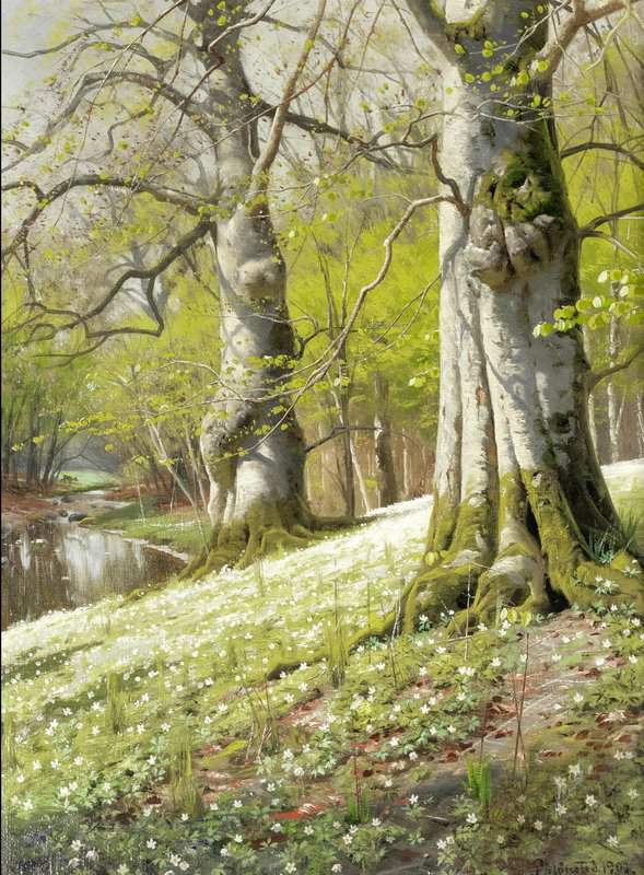 Monsted Peder Anemones - A Spring Morning 1901 museum quality