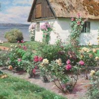 Monsted Peder Blomstrende Roser Ved Et Gammelt Havehus Sorup 1934