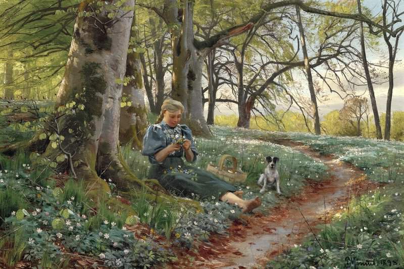 Monsted Peder Early Spring In The Woods. A Girl Is Sitting In The Forest Floor With A Bouquet Of Anemones 1898 museum quality