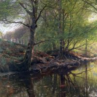Monsted Peder Forest Stream