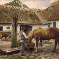 Monsted Peder Hasten Vattnas 1934
