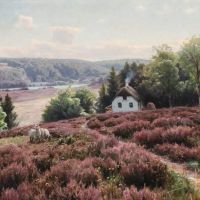 Monsted Peder Landscape With Sheep Grazing In The Heath In Virklund Jutland 1923