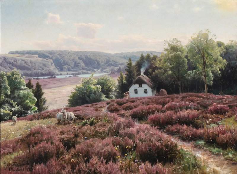 Monsted Peder Landscape With Sheep Grazing In The Heath In Virklund Jutland 1923 museum quality