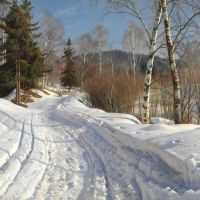 Monsted Peder Norwegian Winter Landscape With Children On A Sledging 1920