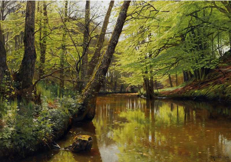 Monsted Peder River Flowing Through A Tranquil Forest 1904 museum quality