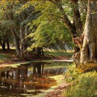 Monsted Peder Skogslandskap 1908