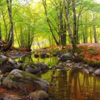 Monsted Peder Springday In The Forest Near A Stream With Beeches And Anemones In Bloom 1899