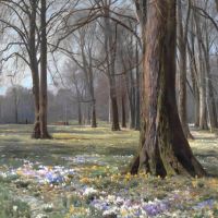 Monsted Peder Springtime. Crocuses In Bloom. Frederiksberg Garden