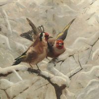 Monsted Peder Stillits Birds In Wintertime - Carduelis Carduelis 1918