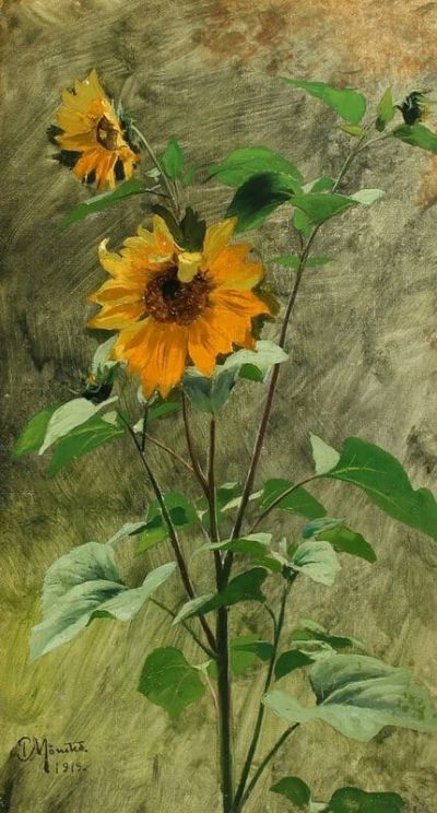 art oil painting reproduction of  Monsted Peder Study Of Sunflowers 1919 museum quality handmade