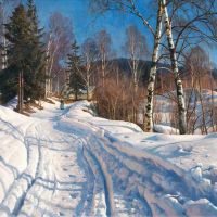 Monsted Peder Sunlit Winter Landscape