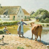 Monsted Peder The Cow Refuses To Drink
