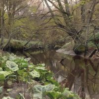 Monsted Peder View From S By