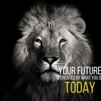 Motivational 193