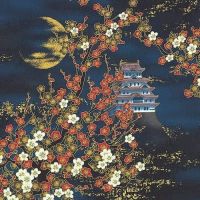 Nobu Fujiyama Lair Of The Dragon - Moon Serenade