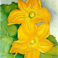 O Keeffe Squash Blossoms I Hand Painted Reproduction