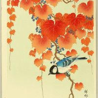 Ohara Koson Cinciallegra Su Ramo Di Paulownia 1925-36