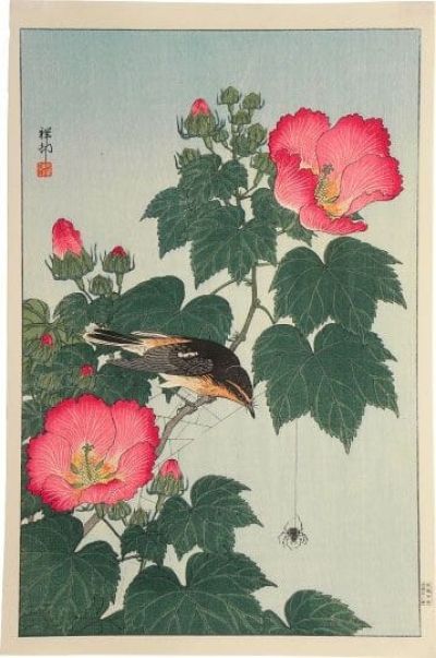 art oil painting reproduction of  Ohara Koson Fly-catcher On Rose Mallow Watching Spider C.1932 museum quality handmade
