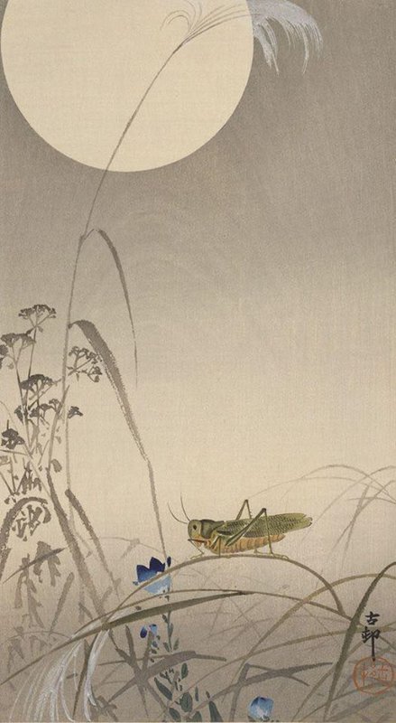 Ohara Koson Grasshopper And Full Moon 1910 museum quality