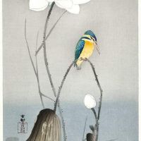 Ohara Koson Kingfisher With Lotus Flower