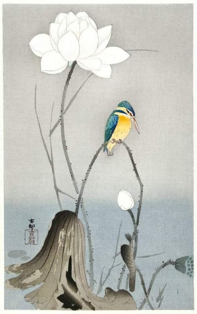art oil painting reproduction of  Ohara Koson Kingfisher With Lotus Flower museum quality handmade