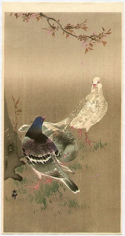 art oil painting reproduction of  Ohara Koson Pigeons Under Cherry Tree museum quality handmade