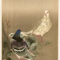 Ohara Koson Pigeons Under Cherry Tree Hand Painted Reproduction