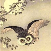 Ohara Koson Scops Owl In Flight Cherry Blossoms And Full Moon 1926