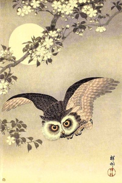art oil painting reproduction of  Ohara Koson Scops Owl In Flight Cherry Blossoms And Full Moon 1926 museum quality handmade
