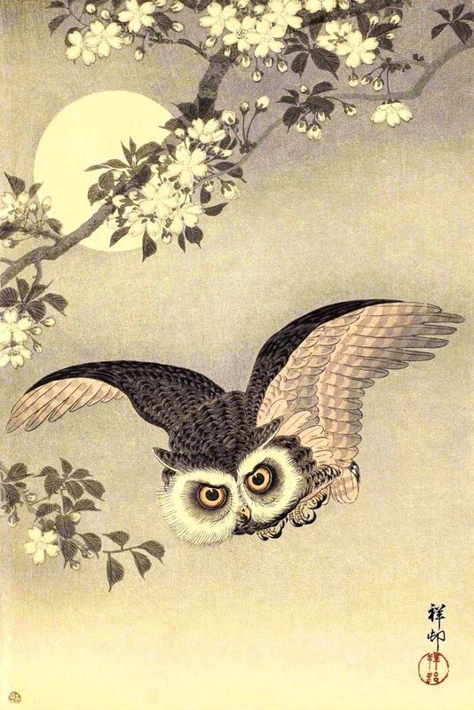 Ohara Koson Scops Owl In Flight Cherry Blossoms And Full Moon 1926 museum quality