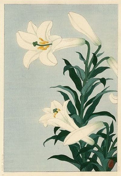 art oil painting reproduction of  Ohara Koson White Lily 1930-s museum quality handmade