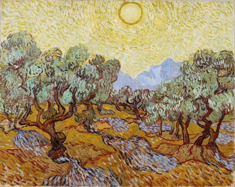 Olive Trees With Yellow Sky And Sun - Landscape By Vincent Van Gogh museum quality