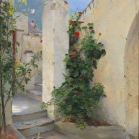Peter Ilsted Pelargonium In Bloom - Capri - 1891