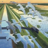 Peter Markham Scott Swan Fall At Wellney 1972
