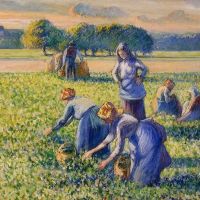 Pissarro La Cueillette Des Pois Hand Painted Reproduction