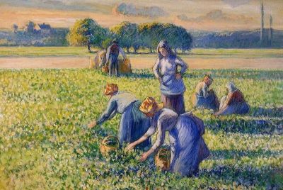 art oil painting reproduction of  Pissarro La Cueillette Des Pois Hand Painted Reproduction museum quality handmade