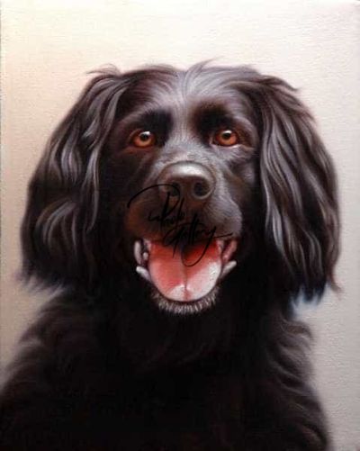 art oil painting reproduction of  Portrait Painting One Pet Hand Painted museum quality handmade